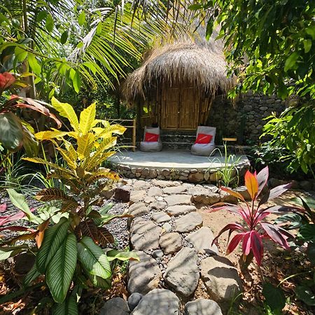 Les Garden Villa Tejakula Bagian luar foto