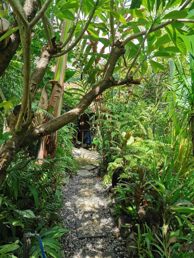 Les Garden Villa Tejakula Bagian luar foto