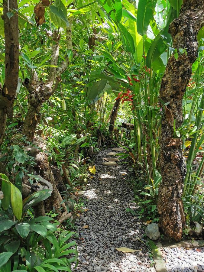 Les Garden Villa Tejakula Bagian luar foto