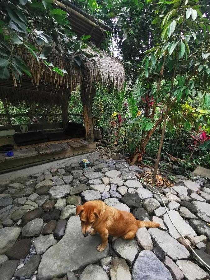 Les Garden Villa Tejakula Bagian luar foto