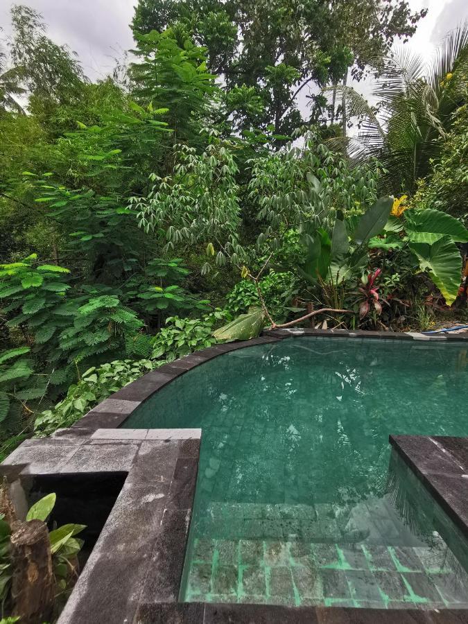 Les Garden Villa Tejakula Bagian luar foto