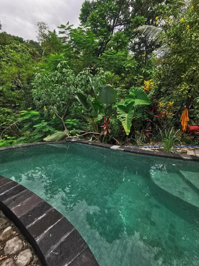 Les Garden Villa Tejakula Bagian luar foto