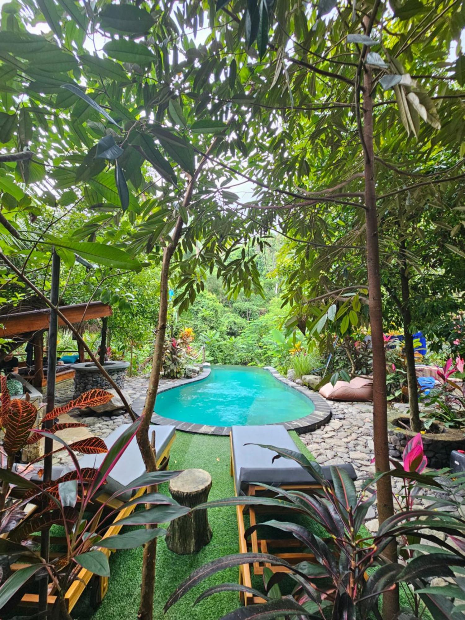 Les Garden Villa Tejakula Bagian luar foto