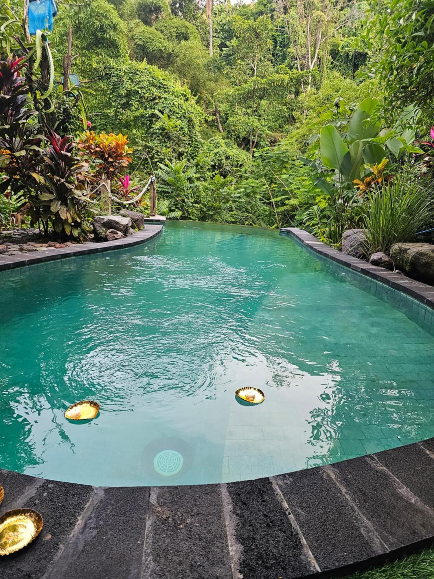 Les Garden Villa Tejakula Bagian luar foto