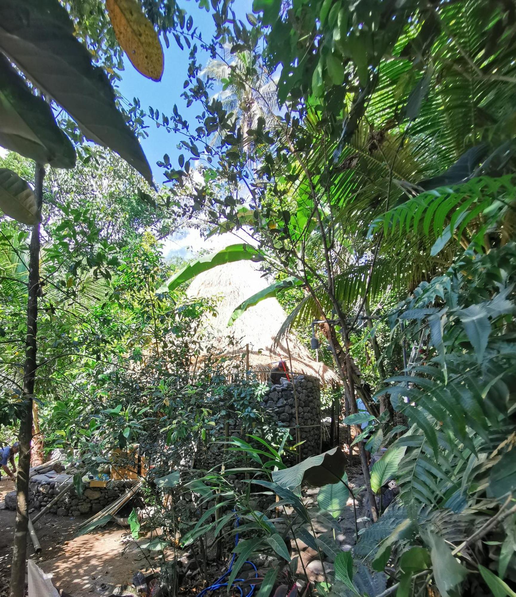Les Garden Villa Tejakula Bagian luar foto