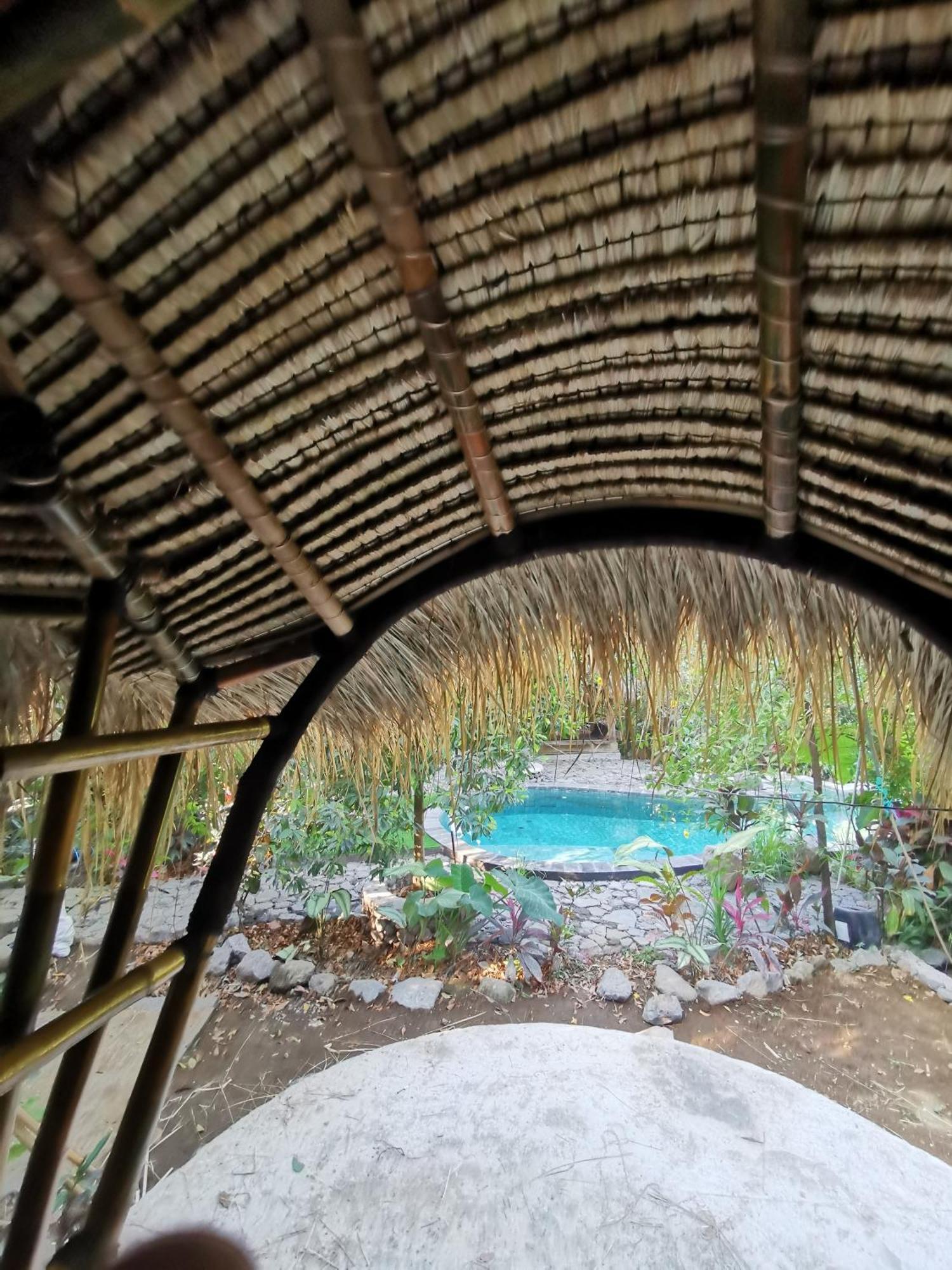 Les Garden Villa Tejakula Bagian luar foto