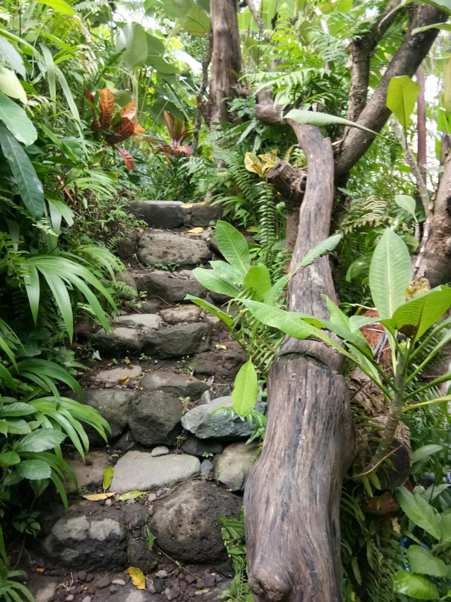 Les Garden Villa Tejakula Bagian luar foto