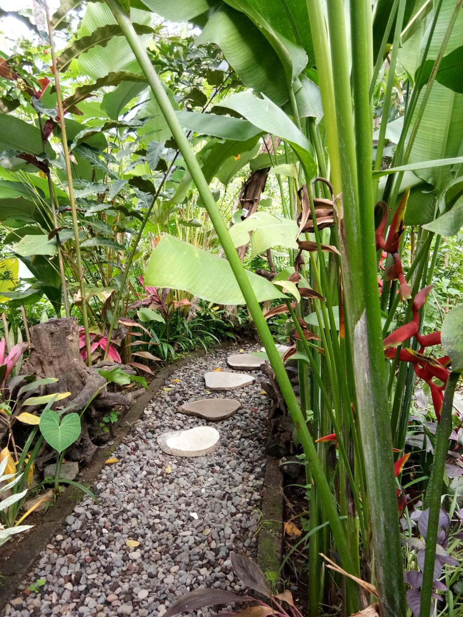 Les Garden Villa Tejakula Bagian luar foto