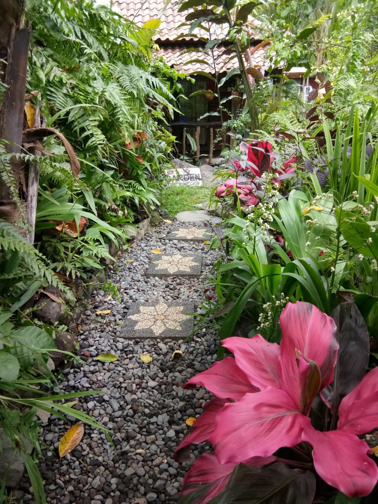 Les Garden Villa Tejakula Bagian luar foto