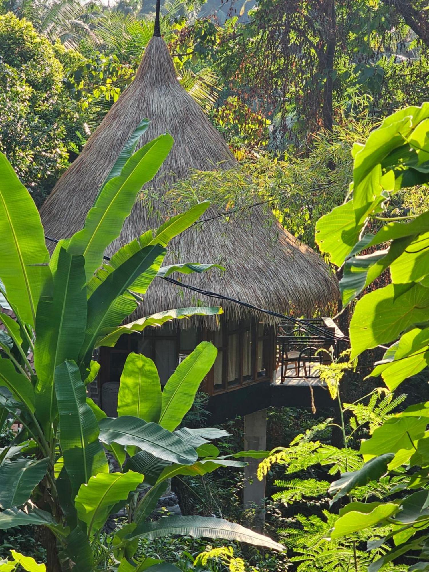 Les Garden Villa Tejakula Bagian luar foto