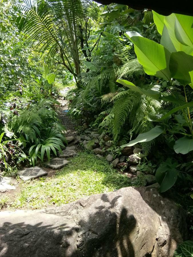 Les Garden Villa Tejakula Bagian luar foto