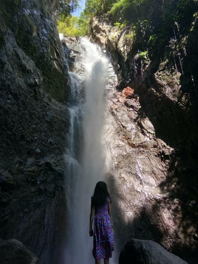 Les Garden Villa Tejakula Bagian luar foto