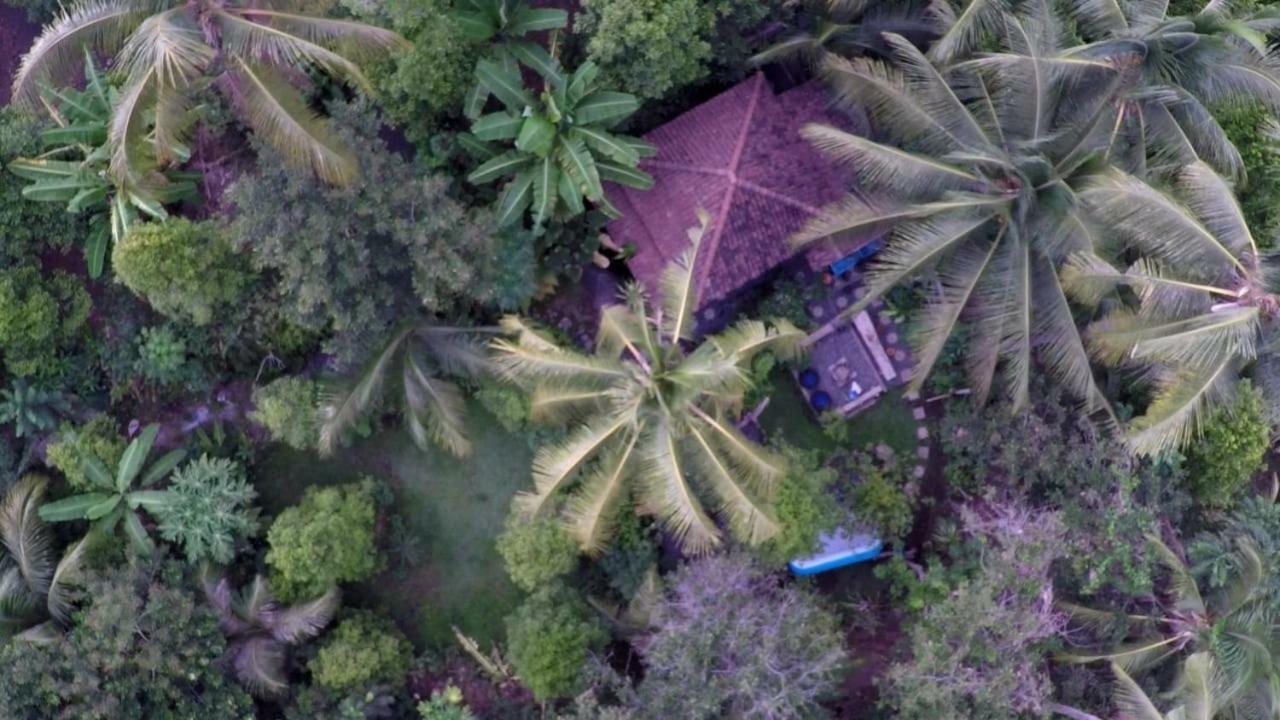 Les Garden Villa Tejakula Bagian luar foto